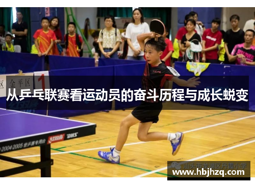 从乒乓联赛看运动员的奋斗历程与成长蜕变