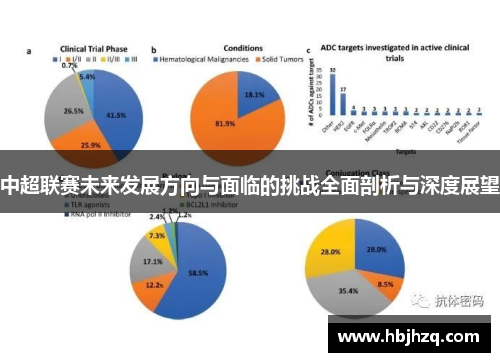 中超联赛未来发展方向与面临的挑战全面剖析与深度展望