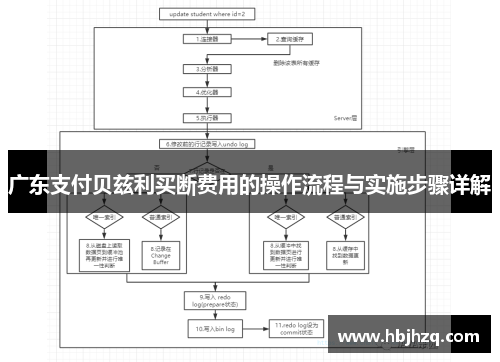 广东支付贝兹利买断费用的操作流程与实施步骤详解